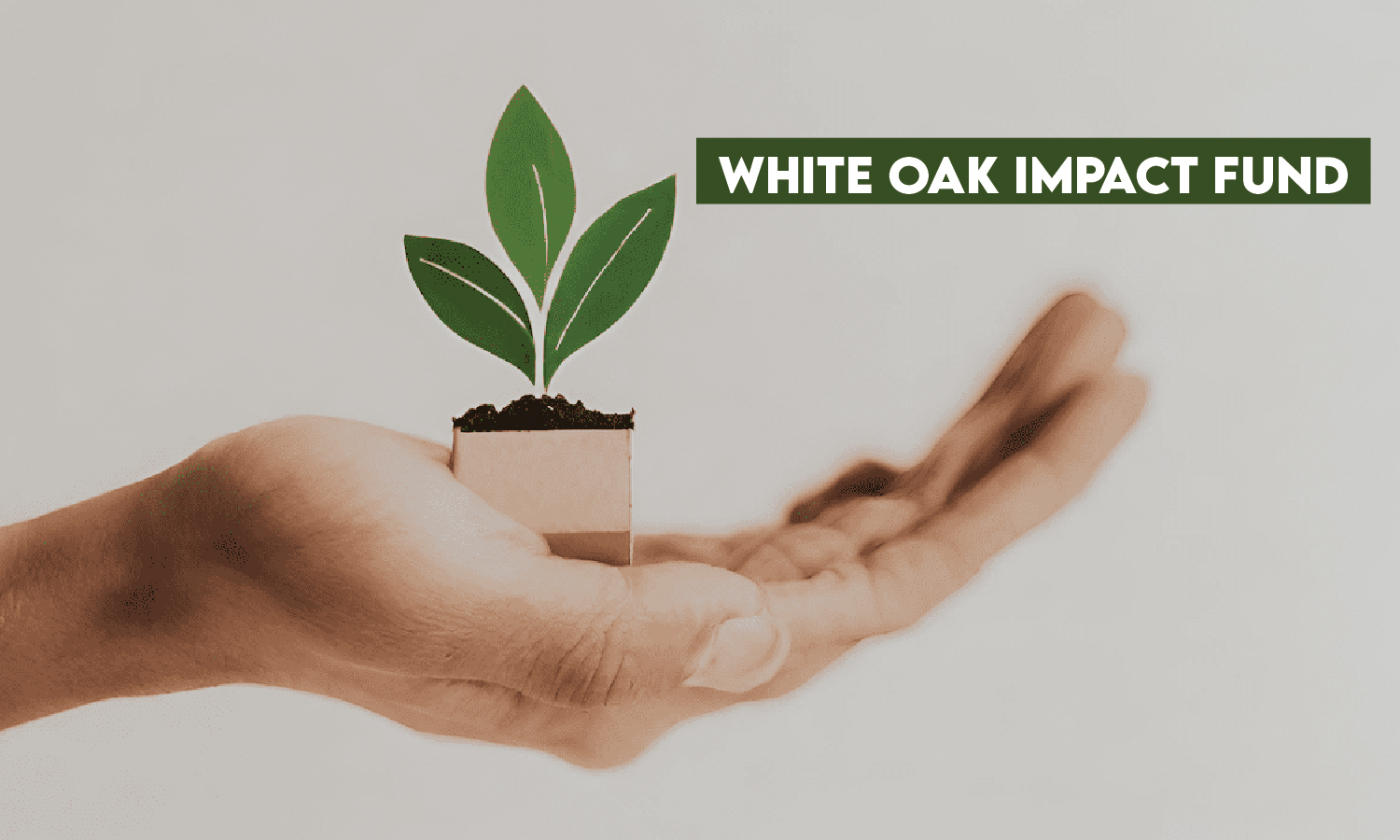 white oak impact fund